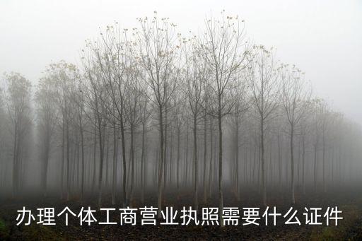 辦理工商營(yíng)業(yè)執(zhí)照，辦理個(gè)體工商營(yíng)業(yè)執(zhí)照需要什么證件