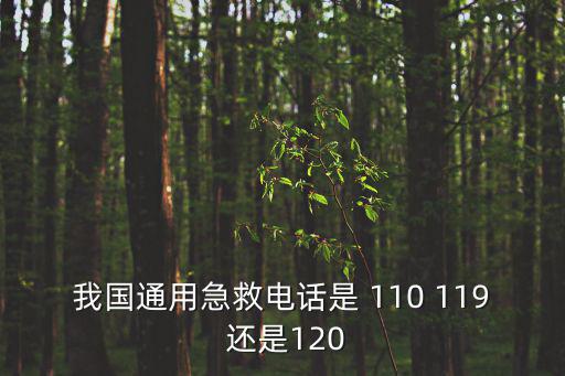我國通用急救電話是 110 119 還是120