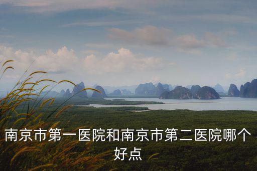 南京市第一醫院和南京市第二醫院哪個好點