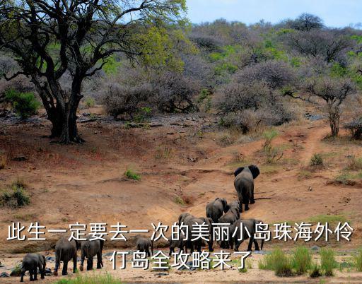 此生一定要去一次的美麗小島珠海外伶仃島全攻略來了