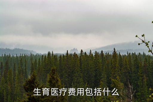 生育醫(yī)療費(fèi)用包括什么