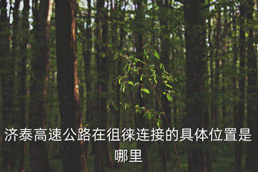 濟泰高速公路在徂徠連接的具體位置是哪里