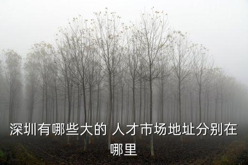 深圳有哪些大的 人才市場地址分別在哪里