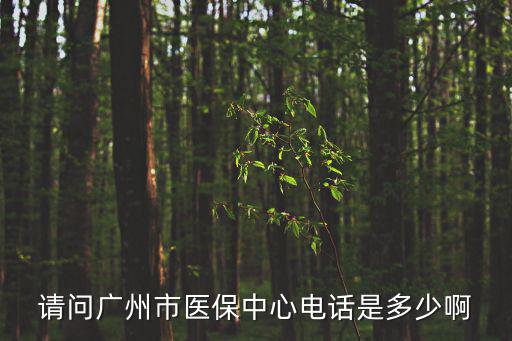 請問廣州市醫保中心電話是多少啊