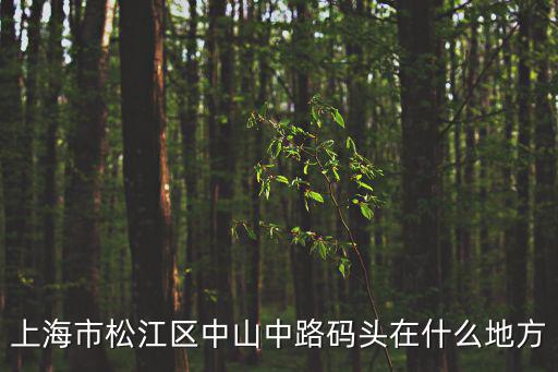 上海市松江區中山中路碼頭在什么地方