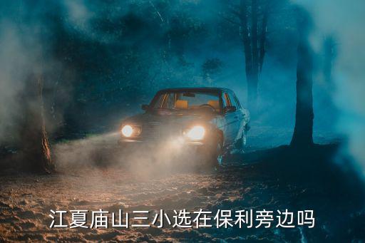 江夏廟山，江夏廟山自駕去八分山怎么走