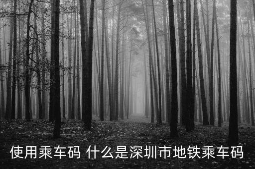 使用乘車(chē)碼 什么是深圳市地鐵乘車(chē)碼