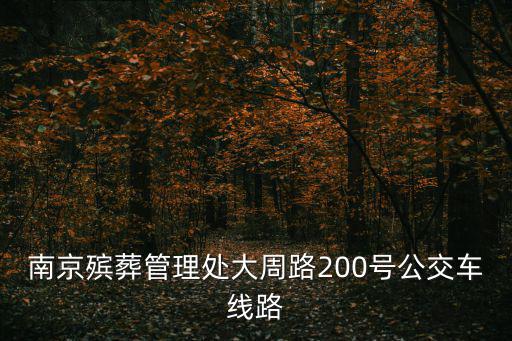 南京殯葬管理處大周路200號公交車線路