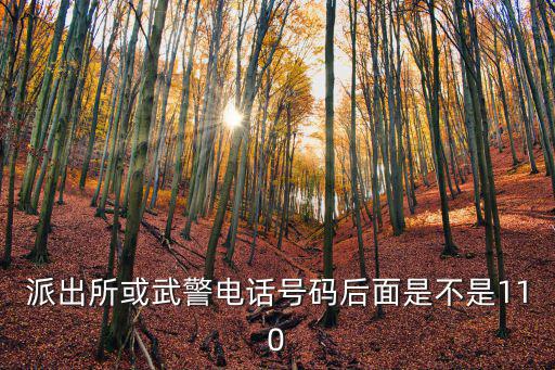 派出所或武警電話號(hào)碼后面是不是110