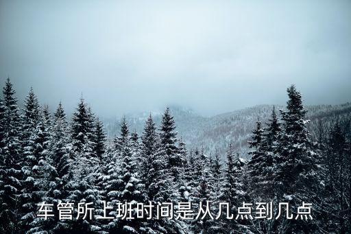 車管所上班時間是從幾點到幾點