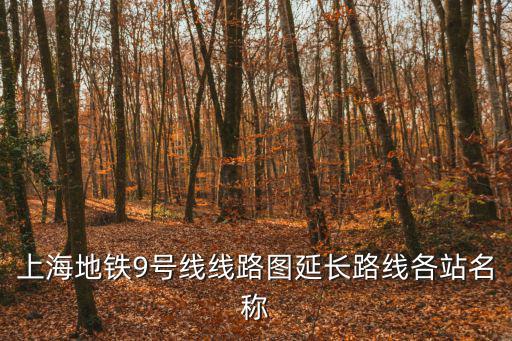 上海地鐵9號線線路圖延長路線各站名稱