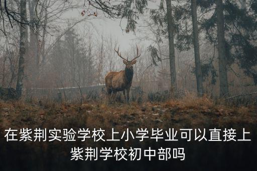 在紫荊實驗學校上小學畢業可以直接上紫荊學校初中部嗎