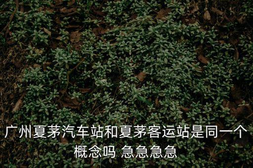 廣州夏茅汽車站和夏茅客運站是同一個概念嗎 急急急急