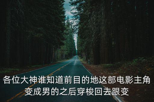 各位大神誰知道前目的地這部電影主角變成男的之后穿梭回去跟變
