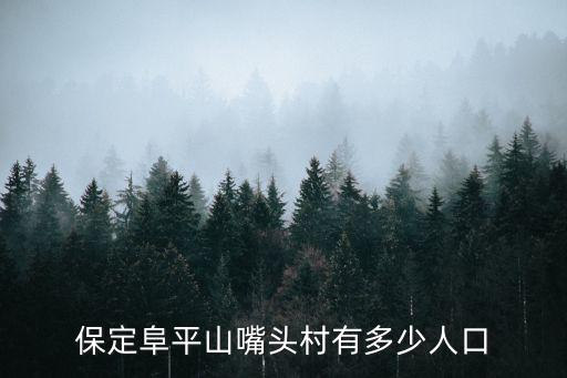 保定阜平山嘴頭村有多少人口