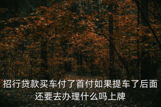招行貸款買車付了首付如果提車了后面還要去辦理什么嗎上牌
