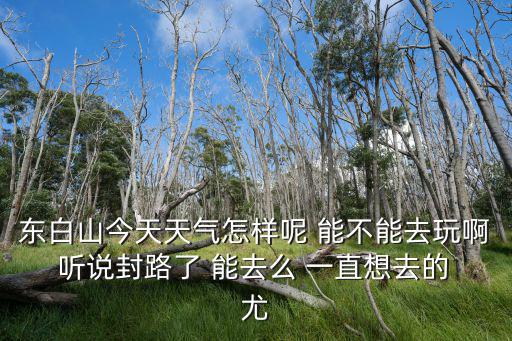 東白山天氣，東白山在哪里