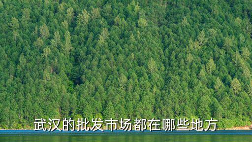 武漢的批發(fā)市場(chǎng)都在哪些地方