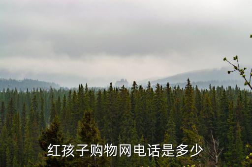 紅孩子購(gòu)物網(wǎng)電話是多少