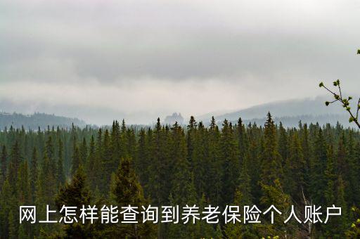 網上怎樣能查詢到養老保險個人賬戶