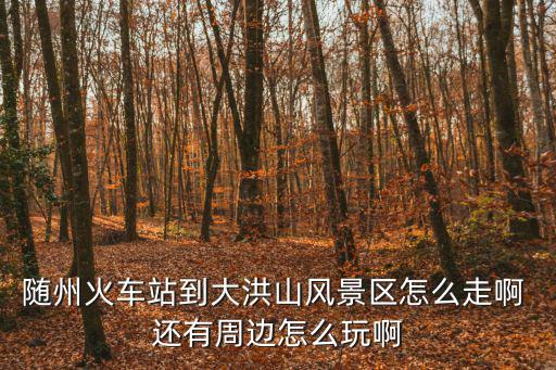隨州火車站到大洪山風(fēng)景區(qū)怎么走啊 還有周邊怎么玩啊