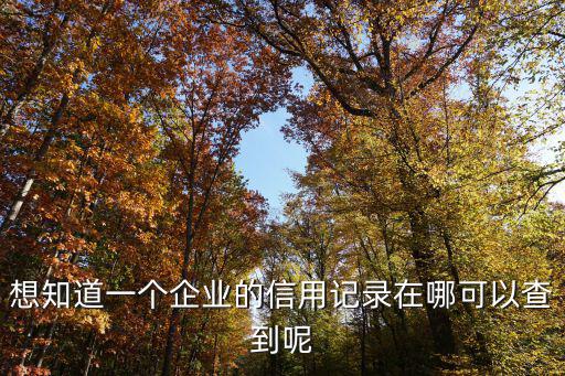 企業征信在哪里查，想知道一個企業的信用記錄在哪可以查到呢