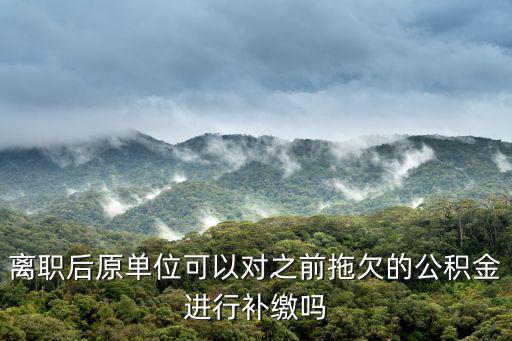 離職后原單位可以對之前拖欠的公積金進行補繳嗎