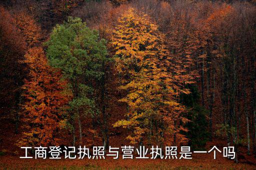 工商登記執照與營業執照是一個嗎