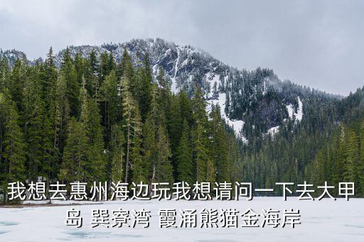 我想去惠州海邊玩我想請(qǐng)問(wèn)一下去大甲島 巽寮灣 霞涌熊貓金海岸