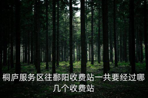 桐廬服務區往鄱陽收費站一共要經過哪幾個收費站