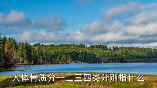 人體骨質分一二三四類分別指什么