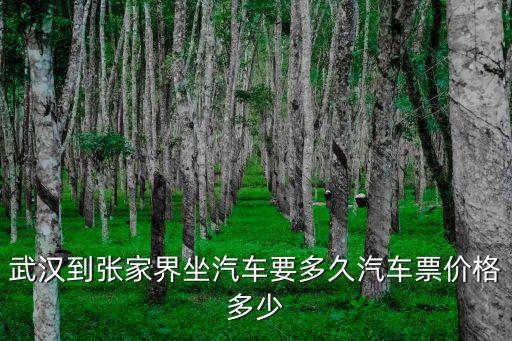 武漢到張家界坐汽車要多久汽車票價(jià)格多少