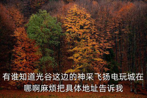 有誰知道光谷這邊的神采飛揚電玩城在哪啊麻煩把具體地址告訴我