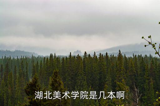 湖北美術(shù)學(xué)院是幾本啊