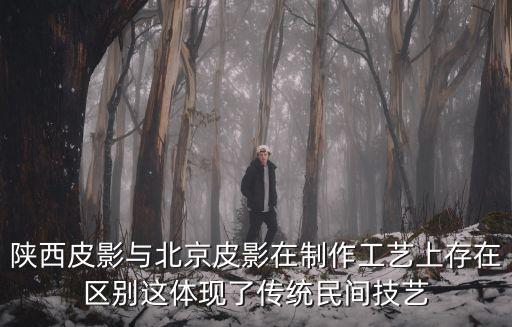陜西皮影與北京皮影在制作工藝上存在區別這體現了傳統民間技藝