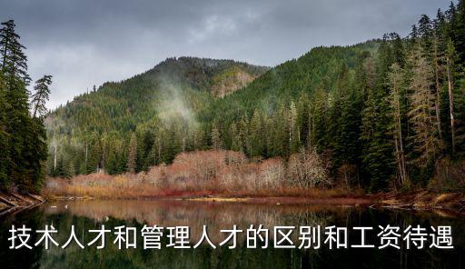 技術人才和管理人才的區別和工資待遇