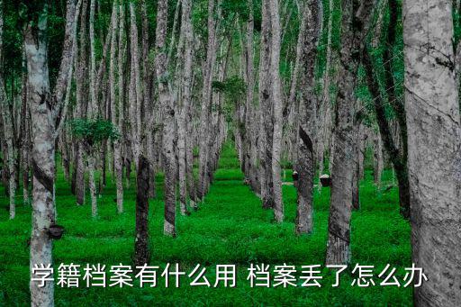 學籍檔案有什么用 檔案丟了怎么辦