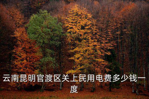 民用電費，云南昆明官渡區關上民用電費多少錢一度