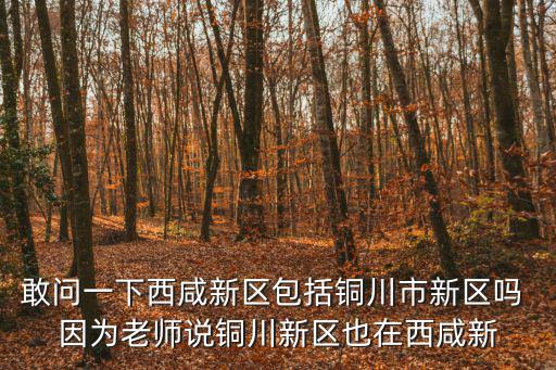 敢問一下西咸新區包括銅川市新區嗎 因為老師說銅川新區也在西咸新