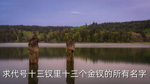 求代號十三釵里十三個金釵的所有名字