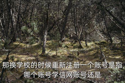 那換學校的時候重新注冊一個賬號是指哪個賬號學信網賬號還是