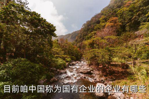 目前咱中國稱為國有企業(yè)的企業(yè)有哪些