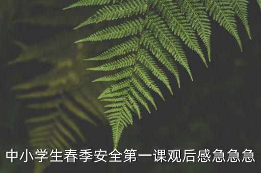 中小學(xué)生春季安全第一課觀后感急急急