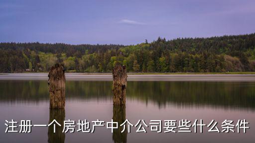 注冊一個房地產中介公司要些什么條件
