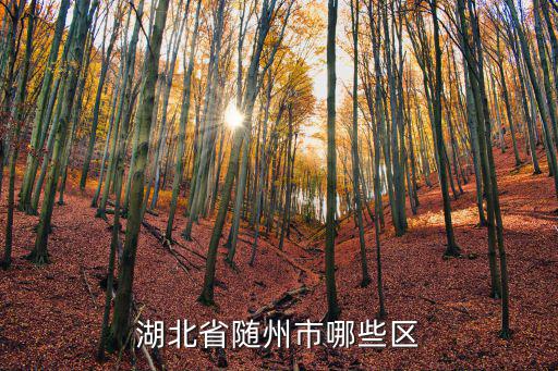 湖北省隨州市哪些區
