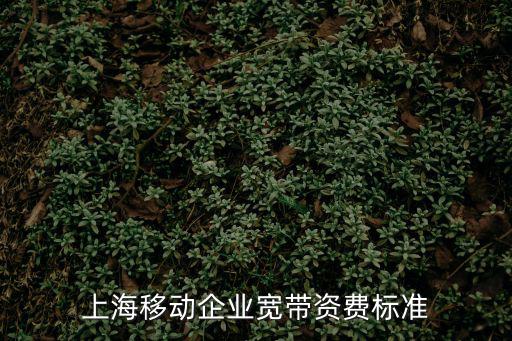 企業寬帶資費標準，企業寬帶資費標準