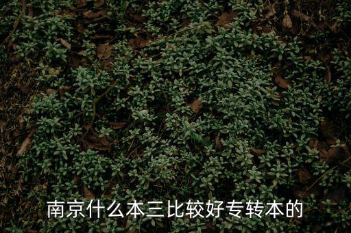 南京什么本三比較好專轉本的