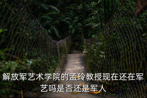 解放軍藝術學院的孟玲教授現在還在軍藝嗎是否還是軍人