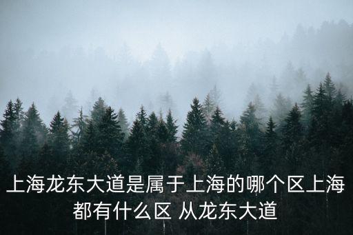東大道，上海龍東大道是屬于上海的哪個(gè)區(qū)上海都有什么區(qū) 從龍東大道