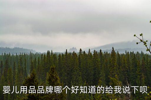 嬰幼兒用品品牌，嬰兒用品品牌哪個好知道的給我說下唄